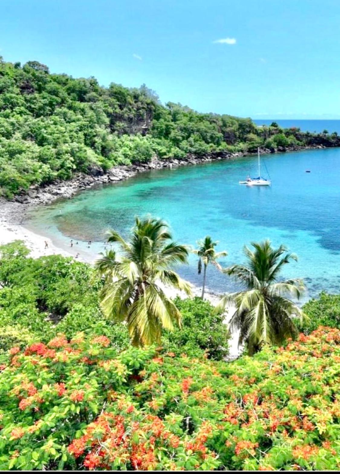 Location Gite Bungalow A 70M De La Plage Bouillante Exterior foto